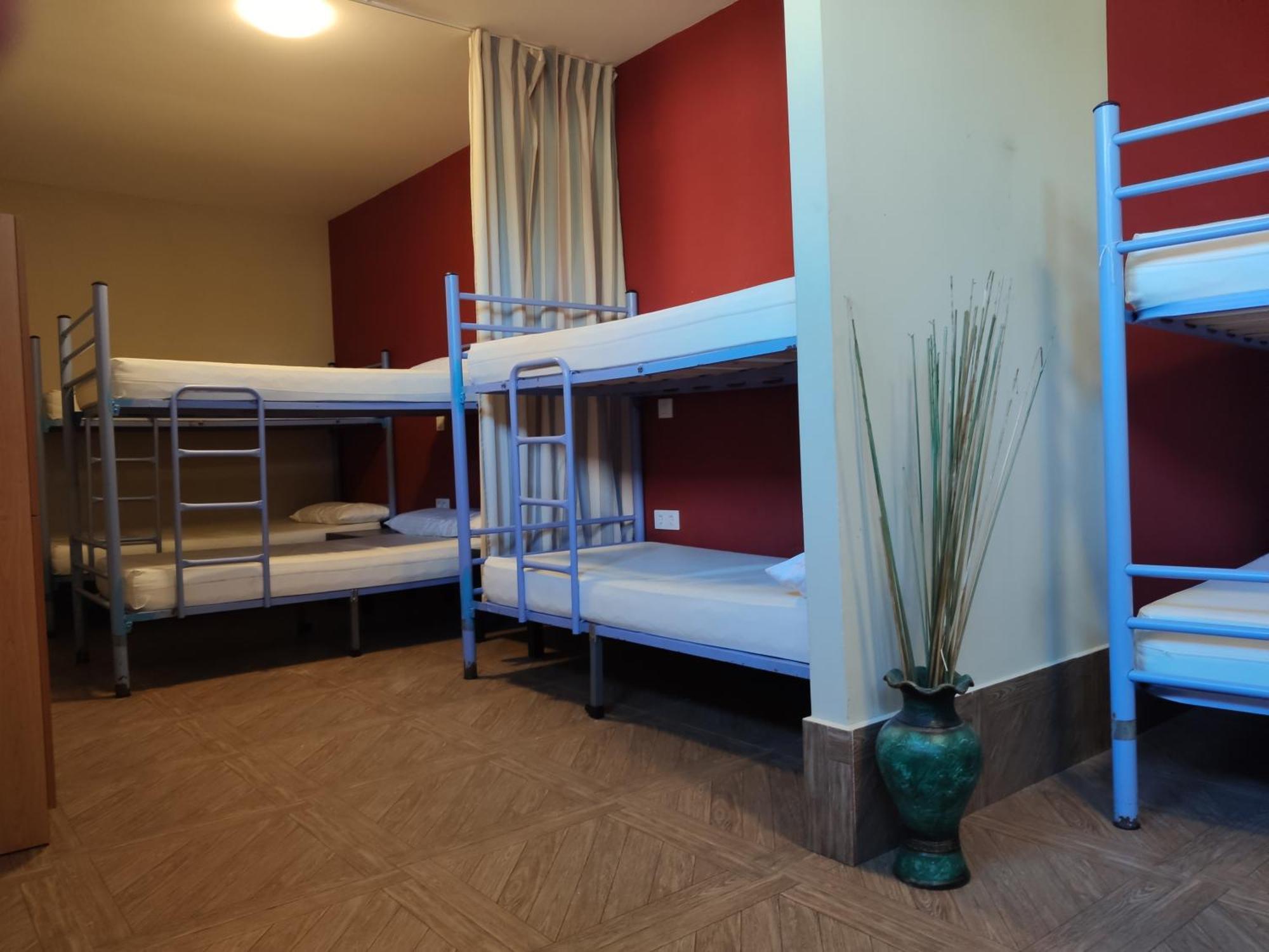 Albergue O Logoso Campelo Cameră foto